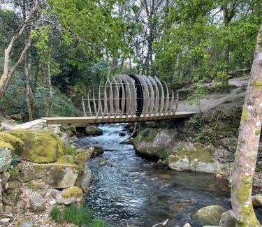 O Freixo House | Casa 2 Gallos - Guest Rated 9.5, Pet & Child Friendly Retreat