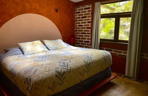San Cristobal de las Casas Hostel | Experience Nature at Hostal Casa 4 Estaciones CoLiving