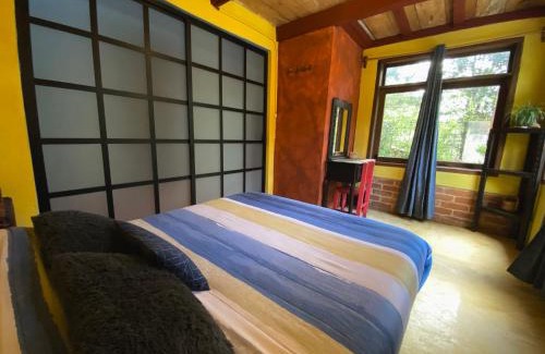 San Cristobal de las Casas Hostel | Experience Nature at Hostal Casa 4 Estaciones CoLiving