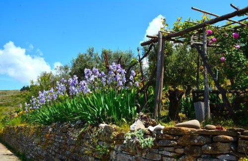 Castellabate House | Family-Friendly Stay at Casa a Castellabate, 4-Star Retreat