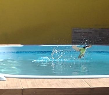 Tamoios House | Cozy Casa with Pool and Ocean View – Rated 9/10 by Guests