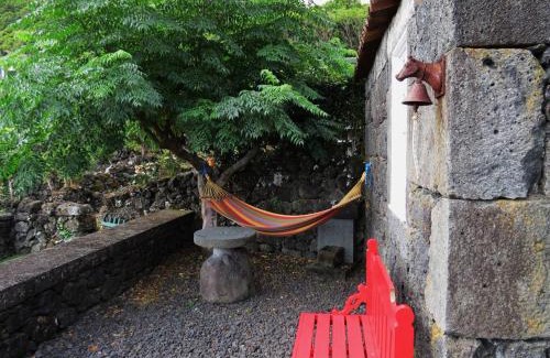 Sao Roque do Pico House | Exceptional Casa Adega Alto do Passinho: Pet Friendly & More