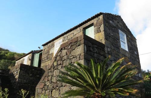 Sao Roque do Pico House | Exceptional Casa Adega Alto do Passinho: Pet Friendly & More