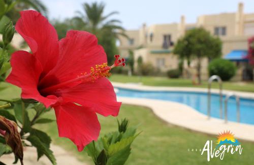 Vista de los Angeles-Rumina Apartment | Discover Casa Alegria Mojacar with Oceanfront Amenities