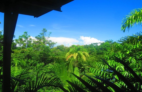 Pavones House | Casa Aloha: Perfect Getaway for Birds & Surf Enthusiasts