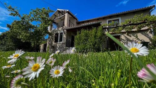 Blatna Vas Villa | Oceanfront Escape at Casa Ana - Guest Rated 9.3/10