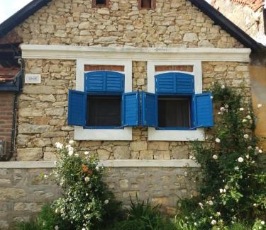 Ciclova Romana House | Pet-Friendly Casa Anca Cheile Nerei with Exceptional Amenities