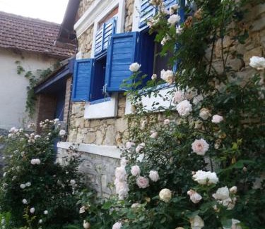 Ciclova Romana House | Pet-Friendly Casa Anca Cheile Nerei with Exceptional Amenities