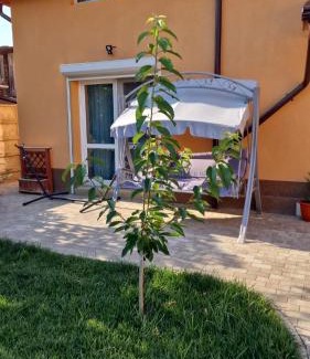 Buzau House | Oceanfront Casa Anton Buzău: Guest Rated 9.7/10