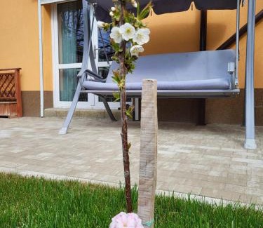 Buzau House | Oceanfront Casa Anton Buzău: Guest Rated 9.7/10