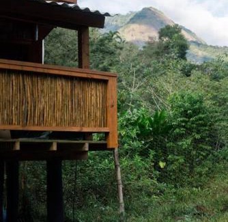 Paraty House | Casa Arandu Paraty