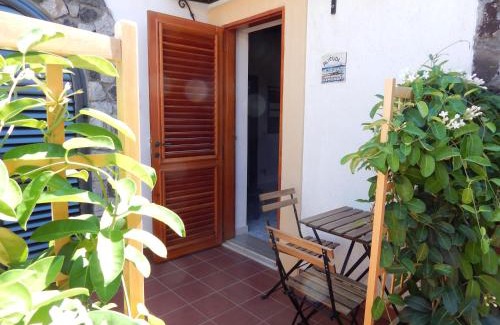 Vulcano Porto Bed & Breakfast | Pet-Friendly Retreat at Casa Arcada – Rated 9.2/10