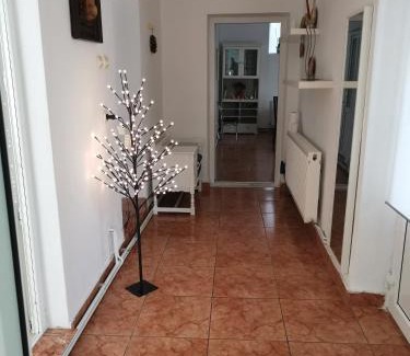 Calimanesti House | Cozy Casa Aurora: 10/10 Stay with Hot Tub & Fireplace