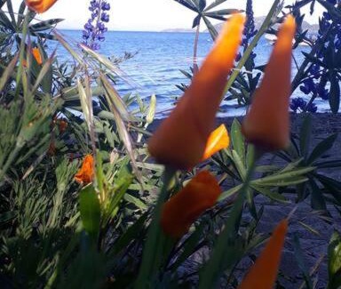 San Carlos de Bariloche House | Exceptional Stay at Casa Bahia Serena: Family-Friendly Retreat