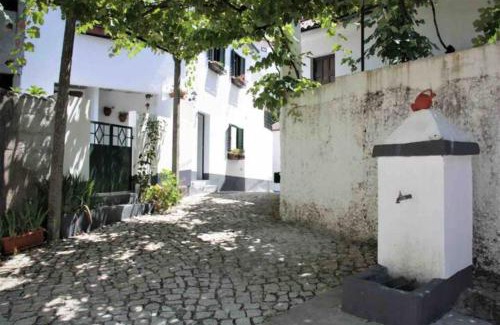 Figueiro dos Vinhos House | Pet-Friendly Retreat at Casa Beatriz with Top Reviews