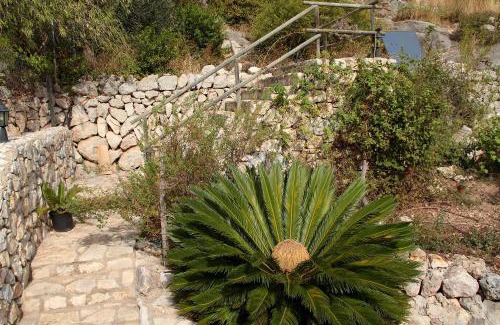 Selva House | Discover Casa Bella Mirada: 4-Star Family-Friendly Retreat