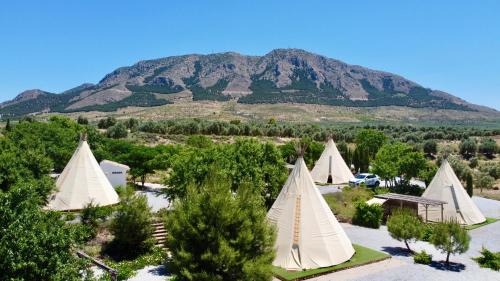 Zujar Other | Exceptional Oceanfront Casa Bella Teepees with Pool Access