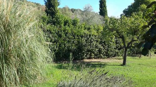 Lake Bracciano House | Unforgettable Stay at Casa Bella Vista with Ocean Views