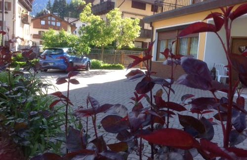 Transacqua Apartment | Oceanfront Retreat at Casa Berlanda - Pet Friendly Stay