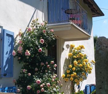 Niella Belbo House | Cozy Casa Biancarosa: Pet-Friendly Retreat with Kitchen