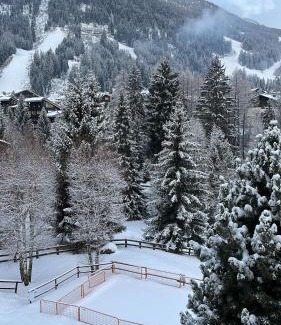 La Thuile Apartment | Discover Casa Bianchina in La Thuile: Pet-Friendly Oasis