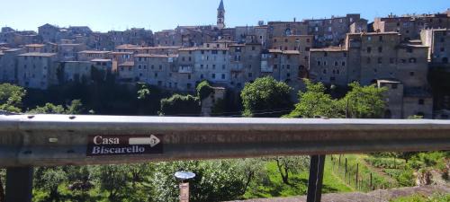 Grotte di Castro House | Pet-Friendly Casa Biscarello: Oceanfront Bliss Awaits