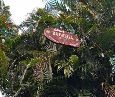 Caonillas Abajo House | Discover Casa Bohemia: Family-Friendly with Hot Tub Access