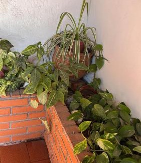 Santa Fe House | Discover Casa Bonita Barrio Sur: Pet-Friendly Retreat
