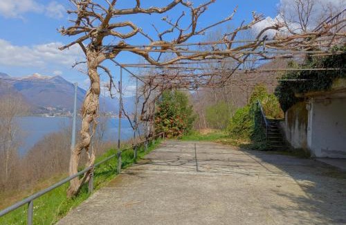 Crabbia Ski Chalet | Casa Bosco