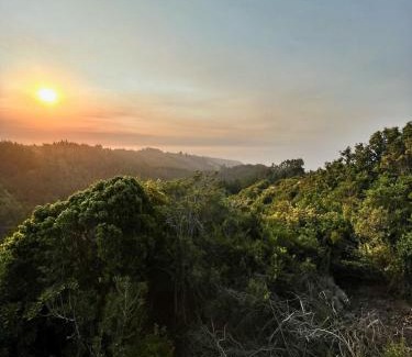 Cobquecura House | Pet-Friendly Getaway at Casa Bosque Olas de Buchupureo