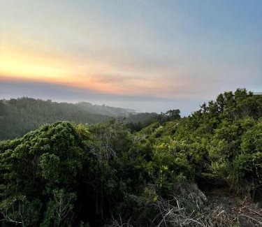 Cobquecura House | Pet-Friendly Getaway at Casa Bosque Olas de Buchupureo