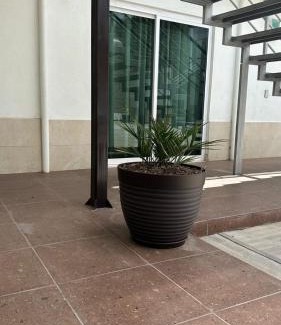 Huamantla House | Family-Friendly Getaway at CASA BRAVO Awaits You