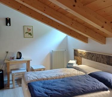 Pellizzano Apartment | Child-Friendly Appartamenti a Pellizzano - Casa Bresadola