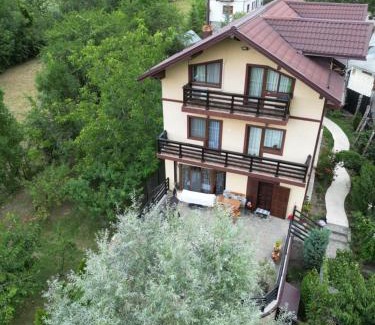 Comarnic House | Unforgettable Stays at Casa Bunicii Comarnic: Family-Friendly!