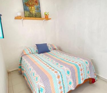 Downtown Queretaro House | casa camelina