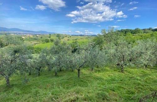 Quarrata Apartment | Discover Casa Calma: Pet-Friendly Retreat with High Ratings