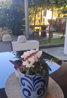 Golino Apartment | Casa Camelia