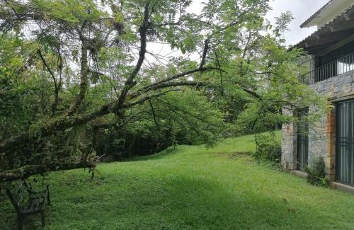 Xilitla Bed & Breakfast | Discover Casa Camino a las Pozas: Family-Friendly Retreat
