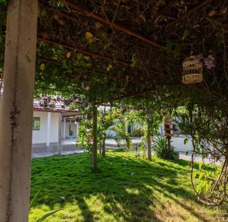 Valledupar Villa | Pet-Friendly Paradise at Casa Campo Mi Valle Km9