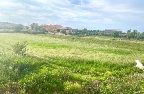 Cogollos de Guadix House | Pet-Friendly Retreat at Casa Campoamor By Solymar