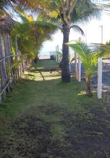 El Hawaii House | Casa Caracola