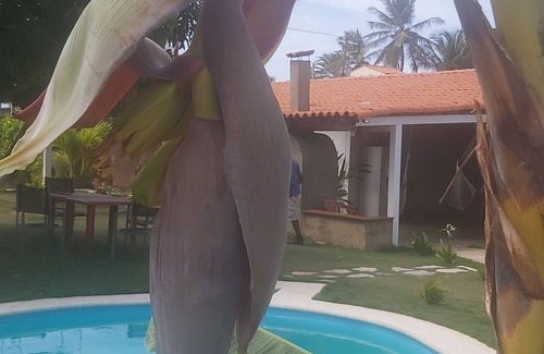Margarita Island House | Unforgettable Stays at Casa Caraibe Playa el Agua Hotel
