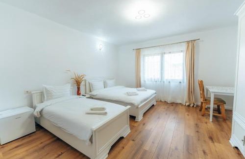 Poienile Izei House | Casa Carmen