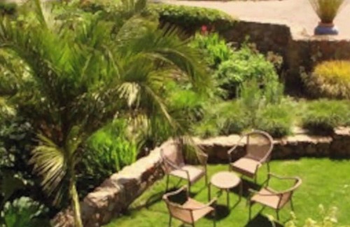 Sebastopol House | Pet-Friendly Casa Carolina in Wine Country - Guest Rated 10/10