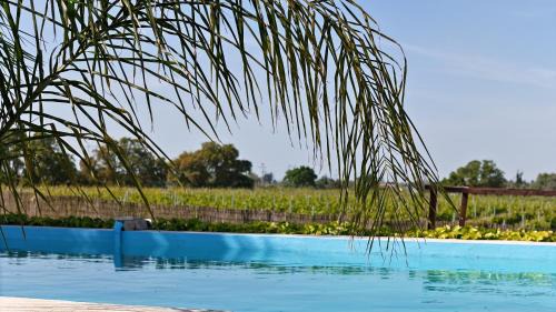 Palmela Apartment | Relax at Casa Castelão - 4-Star Retreat with Pool
