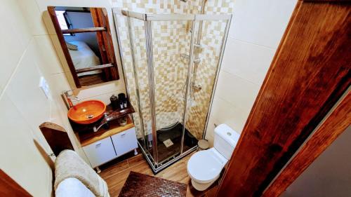 Gondramaz House | Family-Friendly Casa Catraia Gondramaz in Serra da Lousã