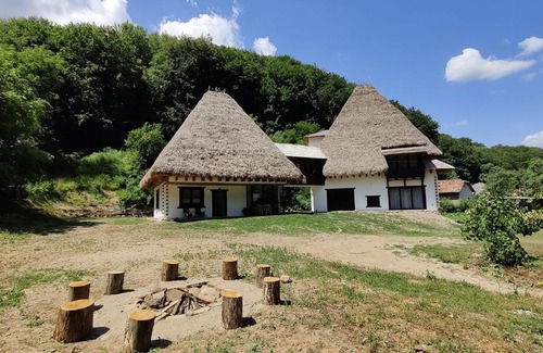 Cristolt House | Experience Casa Catrinei: Pet-Friendly Retreat with Amenities