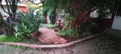 Morelia Hotel | Discover Cozy Inns in Mexico with Unique Amenities