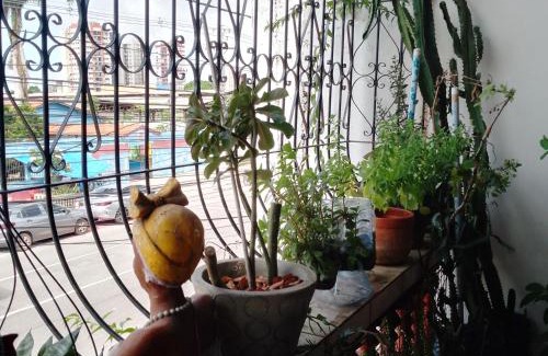 Condor House | Casa centro Cop 30
