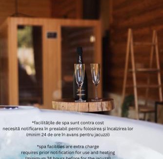 Baia-Sprie House | Unforgettable Stay at Casa Cerbului with Hot Tub & Breakfast